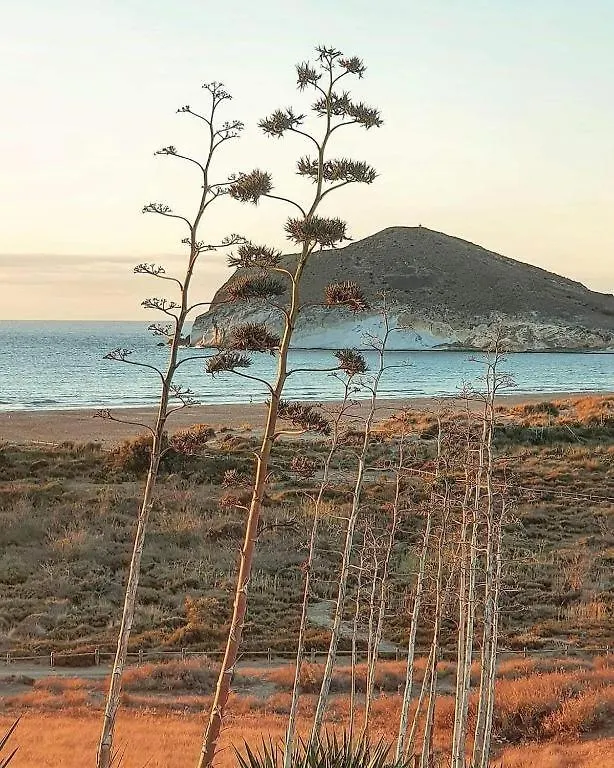 Magnifica Casa Con Encanto En Agua Amarga アグア・アマルガ 別荘